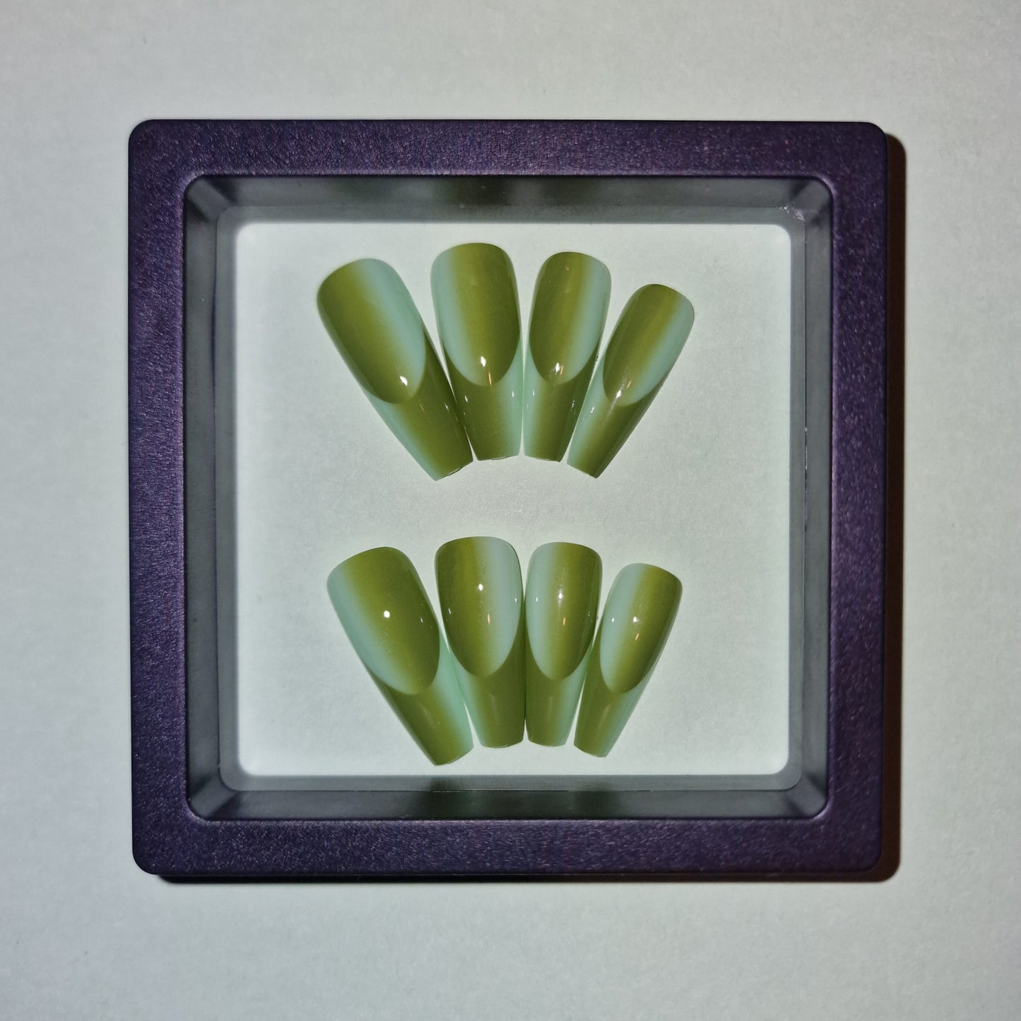 Modèle - OLIVE