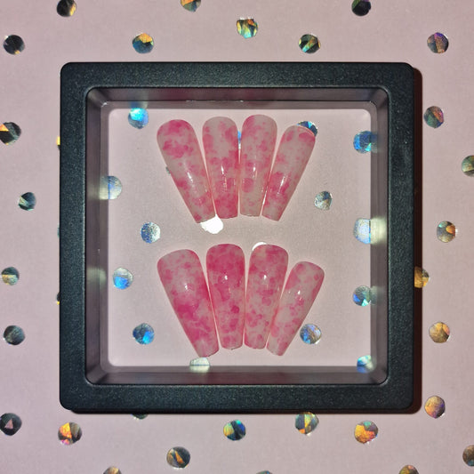 Modèle - POLLY